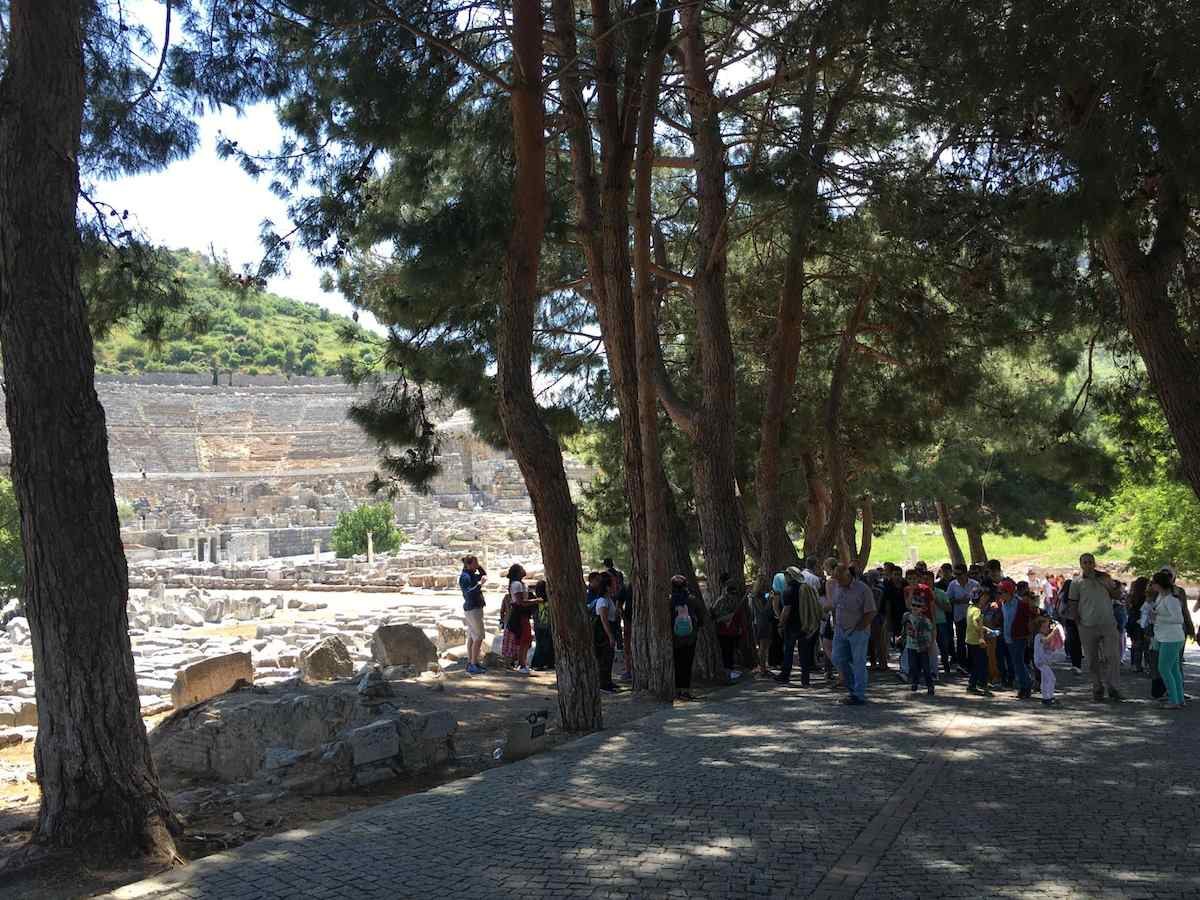 A tour group in the shade of tall pines on the paved path beside the Great Theater of Ephesus